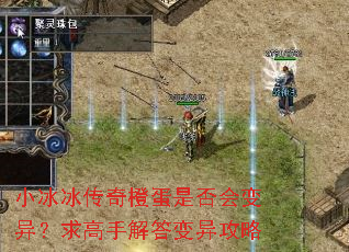 小冰冰传奇橙蛋是否会变异?求高手解答变异攻略 小冰冰传奇橙蛋是否会变异?求高手解答变异攻略