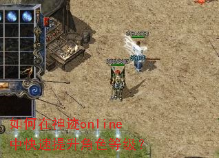 如何在神迹online中快速提升角色等级? 如何在神迹online中快速提升角色等级?