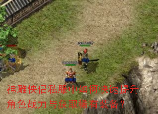 神雕侠侣私服中如何快速提升角色战力与获取稀有装备? 神雕侠侣私服中如何快速提升角色战力与获取稀有装备?