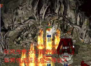 秋风传奇2003服务端如何快速提升角色等级? 秋风传奇2003服务端如何快速提升角色等级?