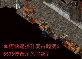 如何快速提升复古超变65535传奇角色等级? 如何快速提升复古超变65535传奇角色等级?