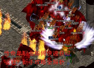���浥ְҵ��ο��ٻ�ȡ���������ֹ���ȫ����