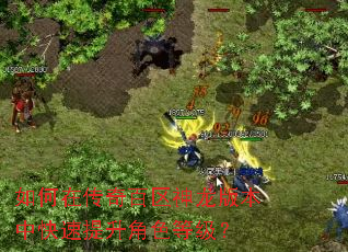 如何在传奇百区神龙版本中快速提升角色等级? 如何在传奇百区神龙版本中快速提升角色等级?