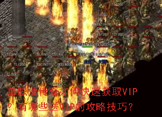 单职业传奇如何快速获取VIP?有哪些送VIP的攻略技巧? 单职业传奇如何快速获取VIP?有哪些送VIP的攻略技巧?