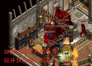 如何快速提升角色等级并获取稀有装备? 如何快速提升角色等级并获取稀有装备?