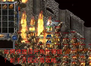 如何快速提升角色等级?新手开区必看攻略 如何快速提升角色等级?新手开区必看攻略