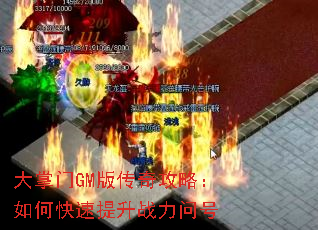 ������GM�洫�湥�ԣ���ο�������ս���ʺ�