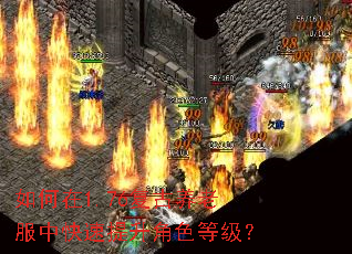 如何在1.76复古养老服中快速提升角色等级? 如何在1.76复古养老服中快速提升角色等级?