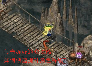 传奇Java游戏攻略:如何快速提升角色等级? 传奇Java游戏攻略:如何快速提升角色等级?