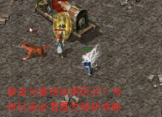 �����뱩��������֣�������ұؿ����Խ�������